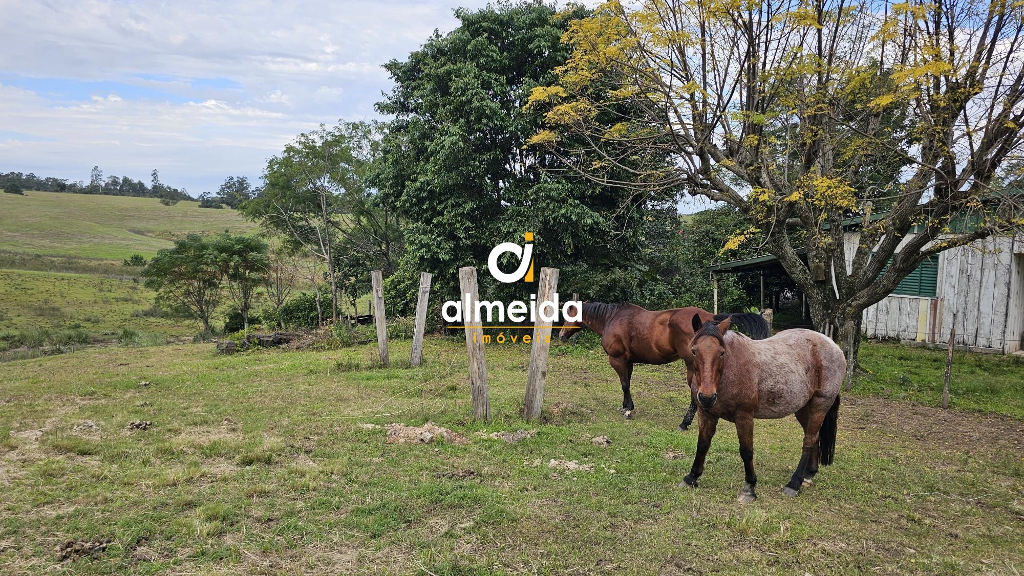 Fazenda à venda com 2 quartos, 120000000m² - Foto 35