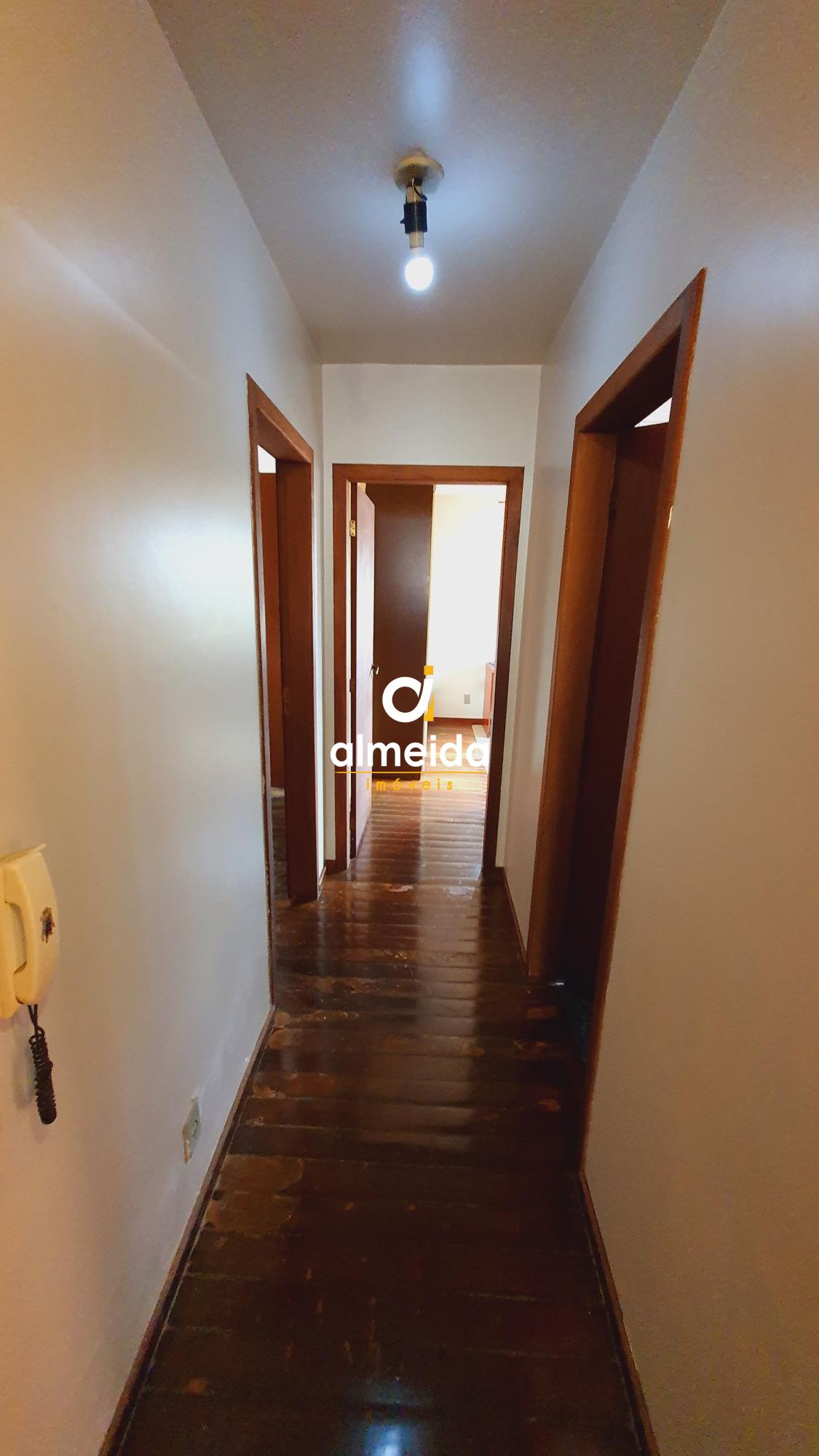 Casa, 4 quartos, 365 m² - Foto 43