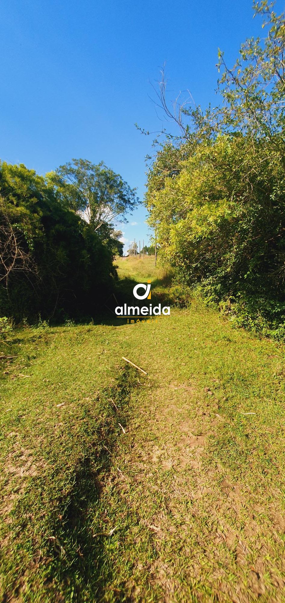 Terreno, 2938 m² - Foto 14