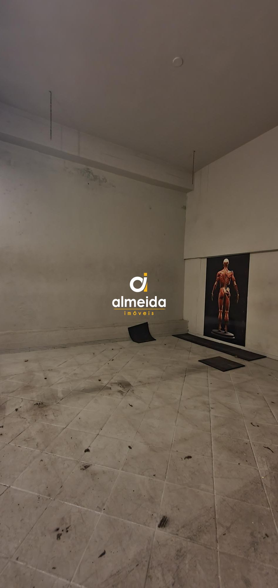 Conjunto Comercial-Sala à venda e aluguel com 3 quartos, 452m² - Foto 16