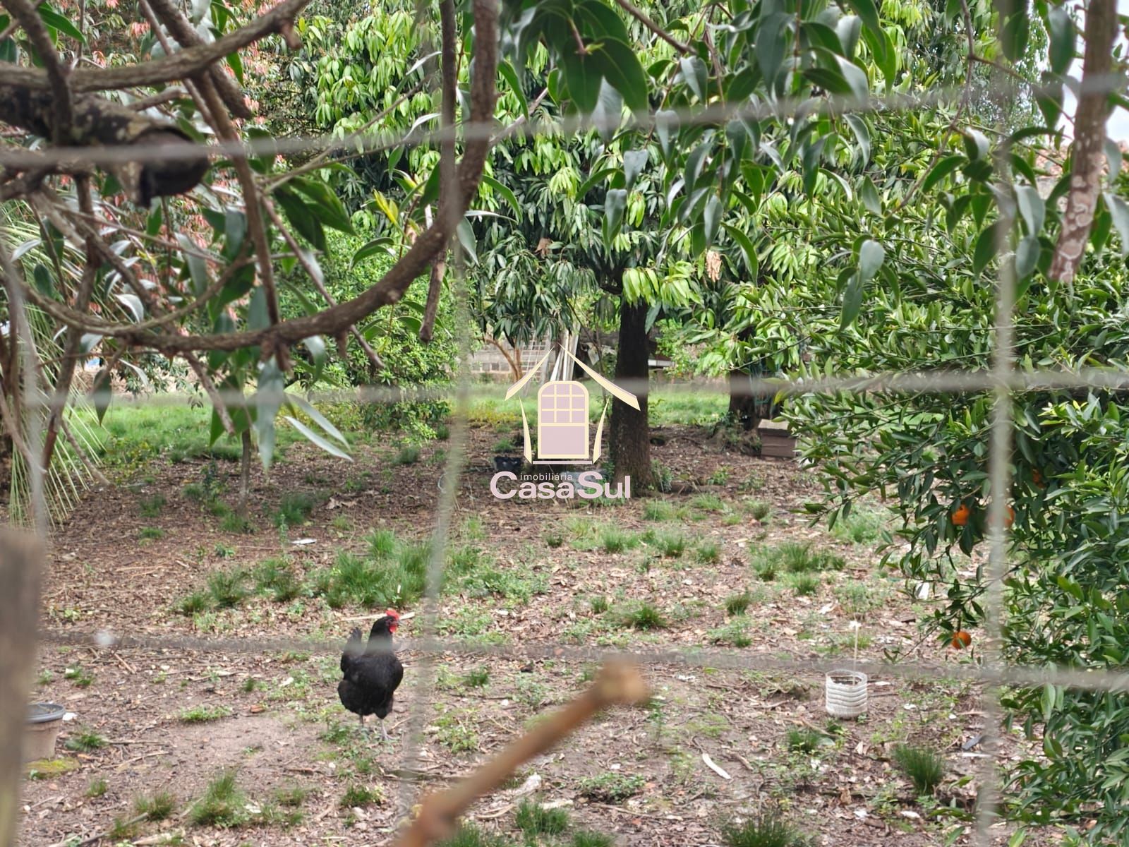 Terreno, 1 m² - Foto 4