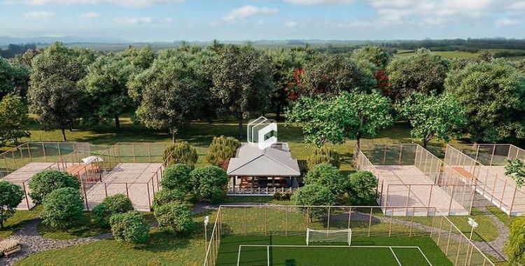 Terreno, 431 m² - Foto 3