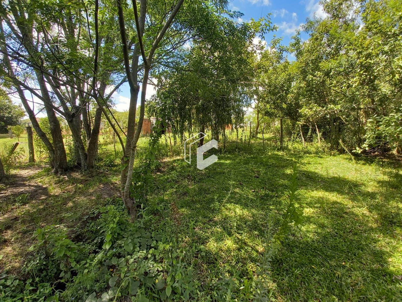 Terreno à venda com 2 quartos, 1500m² - Foto 3