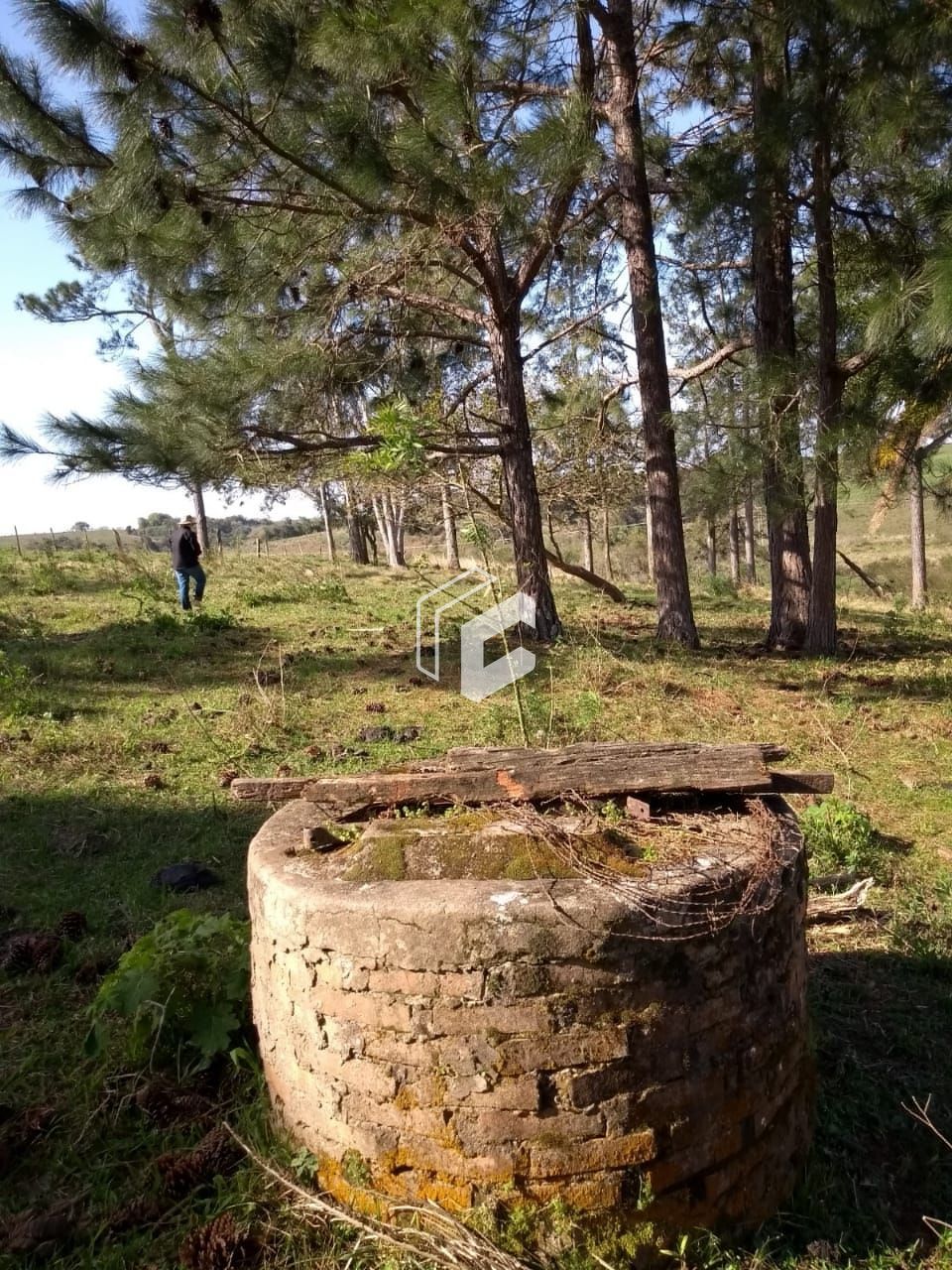 Fazenda à venda, 500000000m² - Foto 12