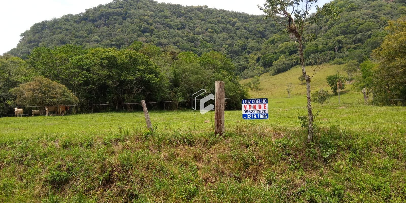 Loteamento e Condomínio à venda, 346500000m² - Foto 5