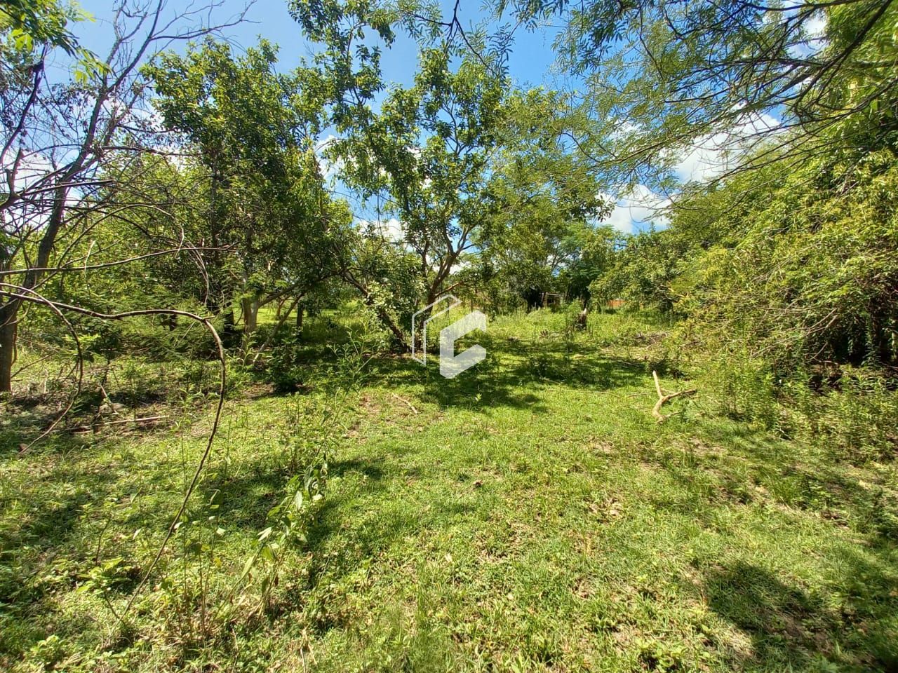 Terreno, 1500 m² - Foto 10