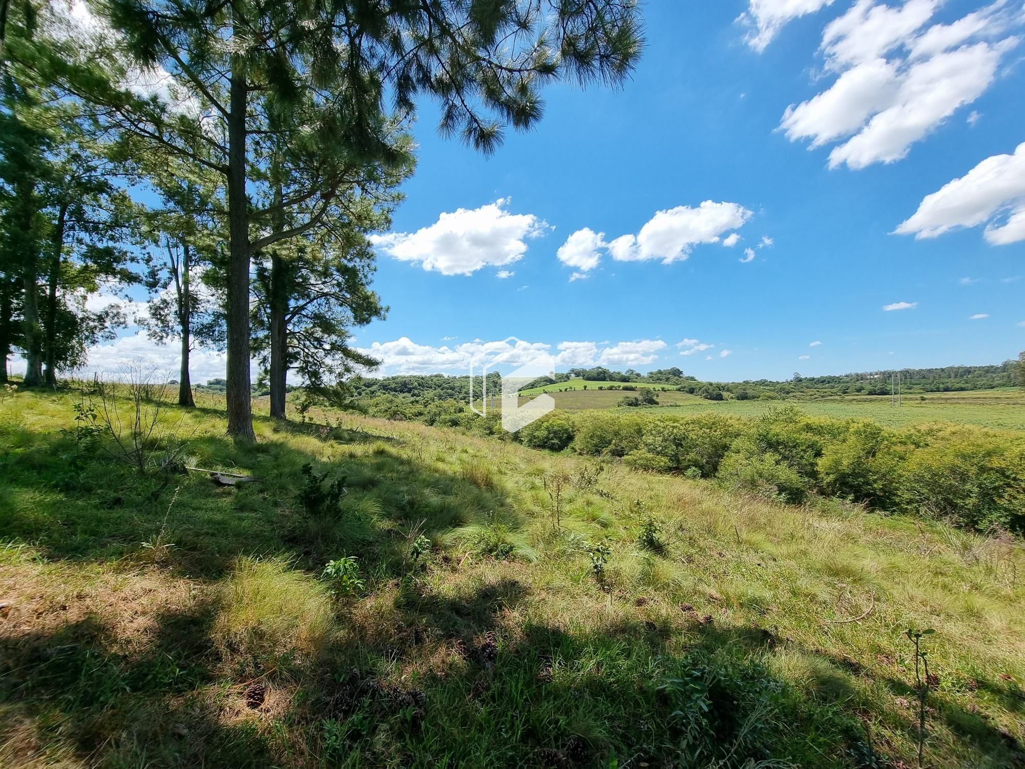 Fazenda à venda, 500000000m² - Foto 1