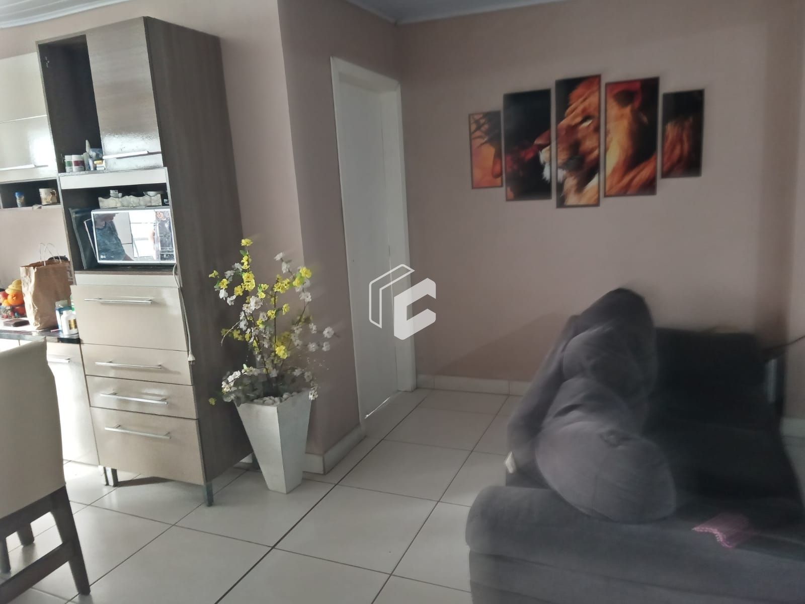 Casa, 4 quartos, 167 m² - Foto 4