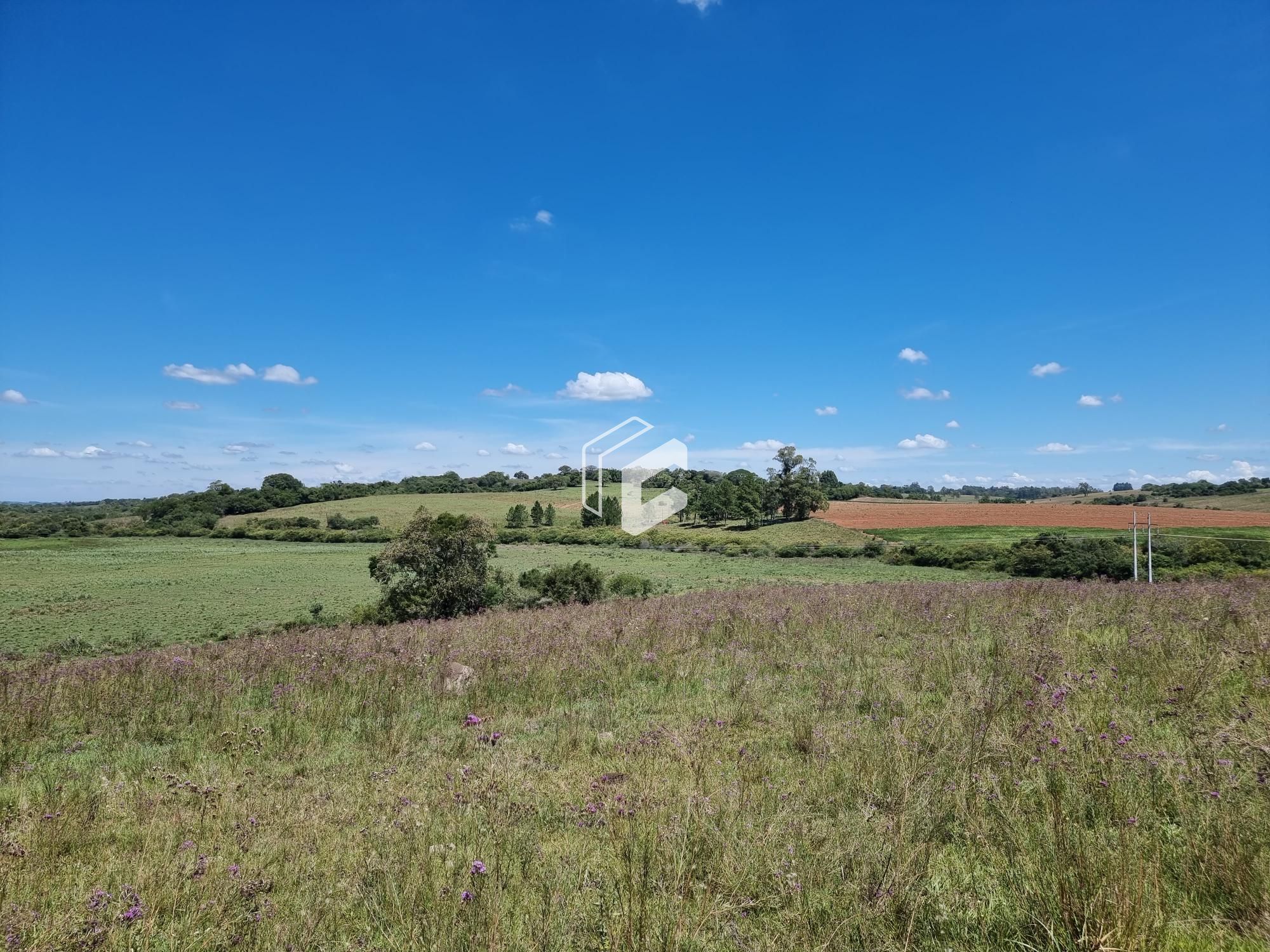 Fazenda à venda, 500000000m² - Foto 4