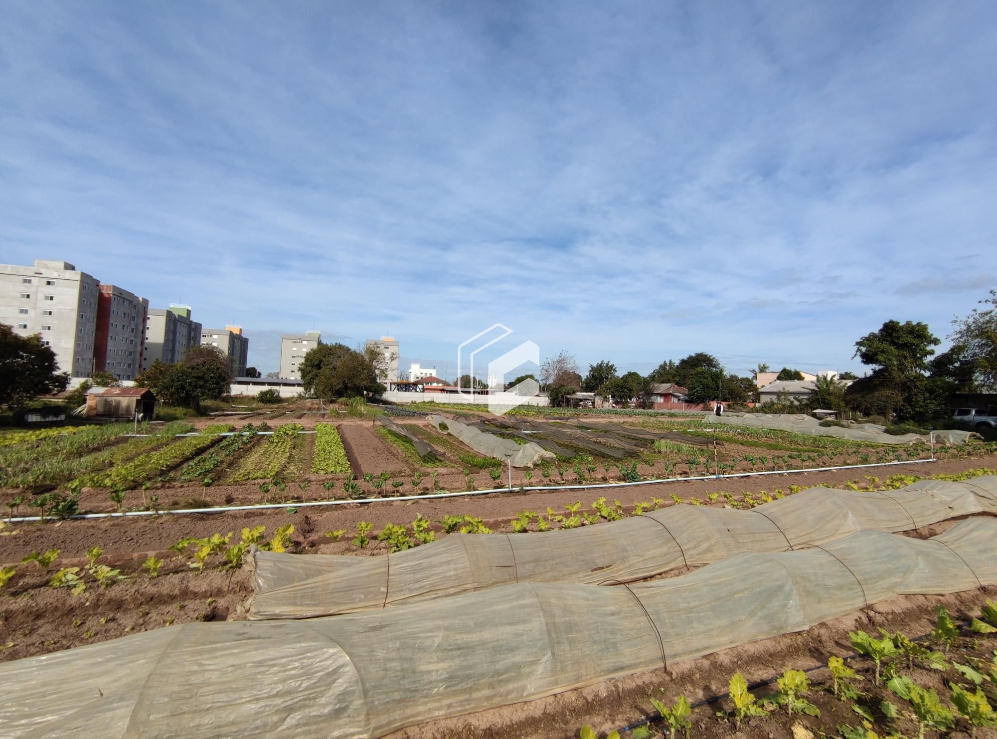 Terreno à venda, 10080m² - Foto 3