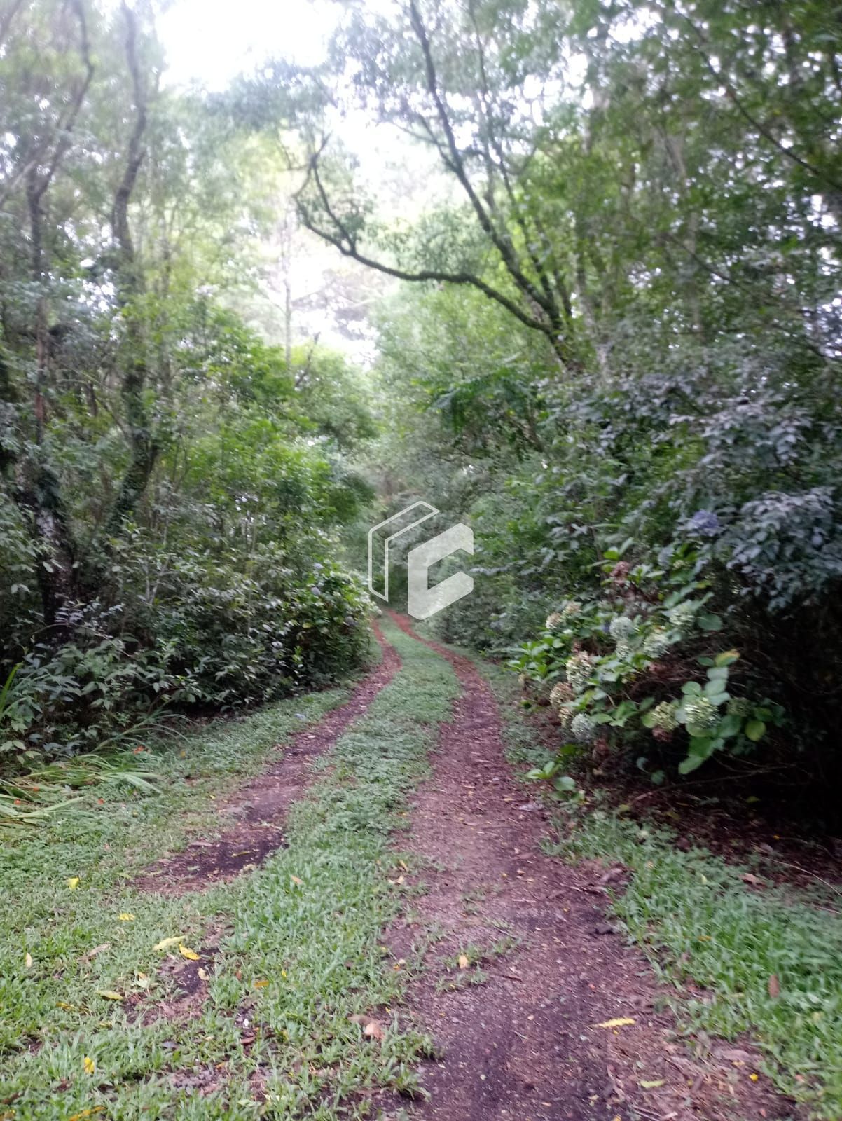 Chácara, 2 quartos, 10000 hectares - Foto 4