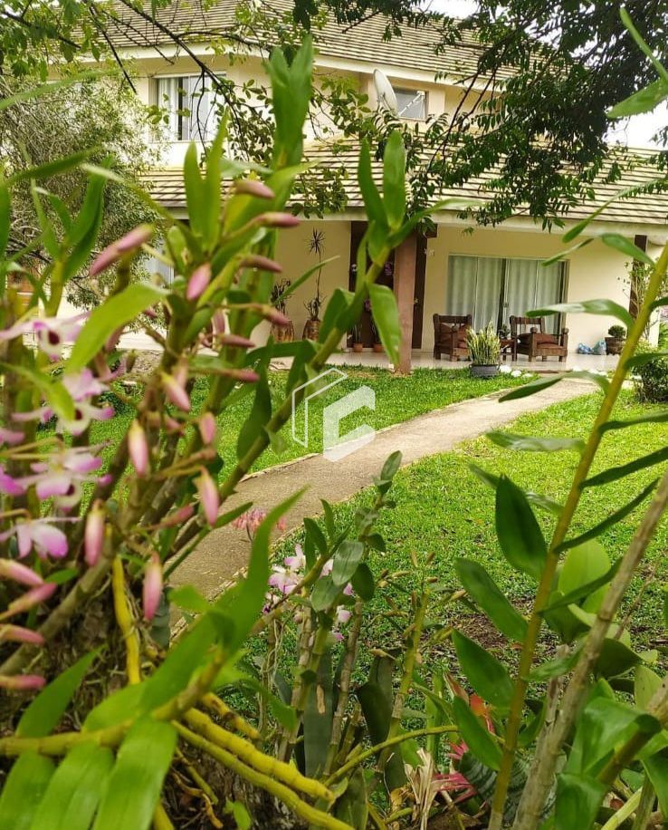 Casa, 4 quartos, 320 m² - Foto 3