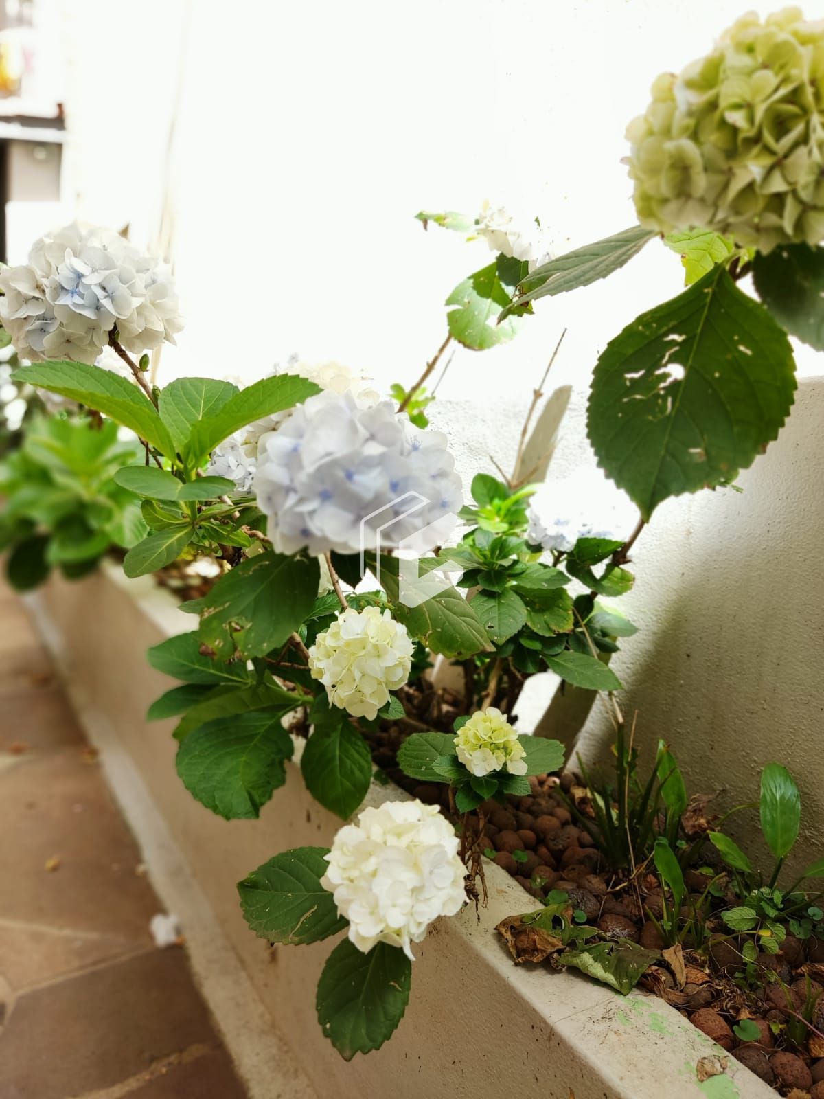 Apartamento, 2 quartos, 76 m² - Foto 3