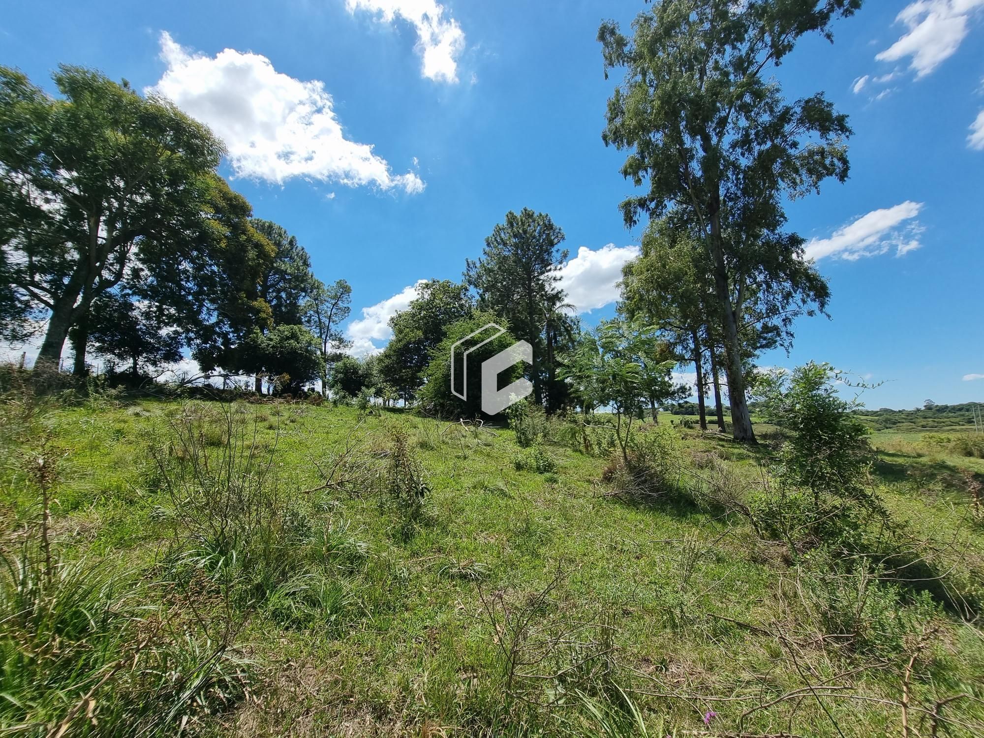 Terreno, 50000 hectares - Foto 6