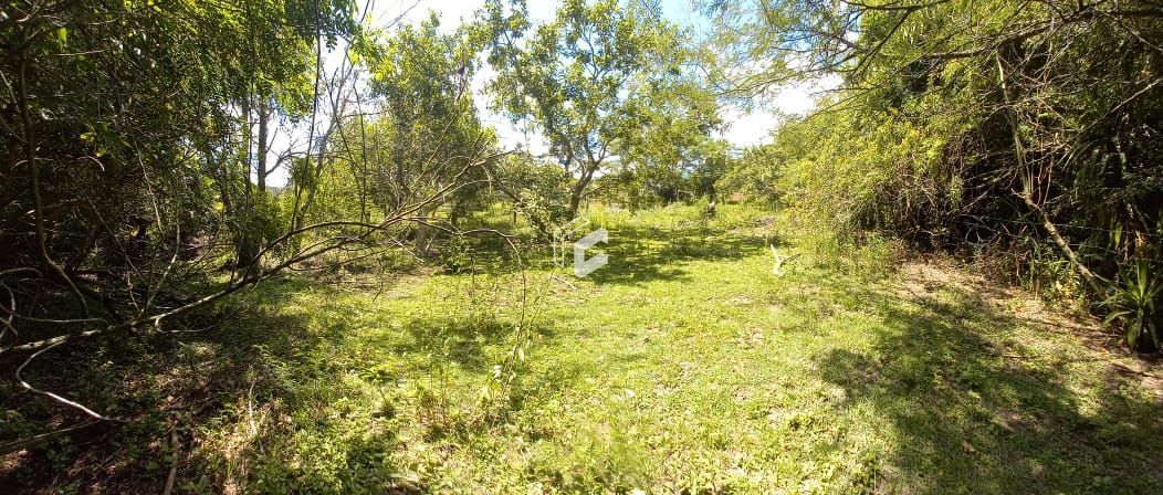 Terreno, 1500 m² - Foto 11