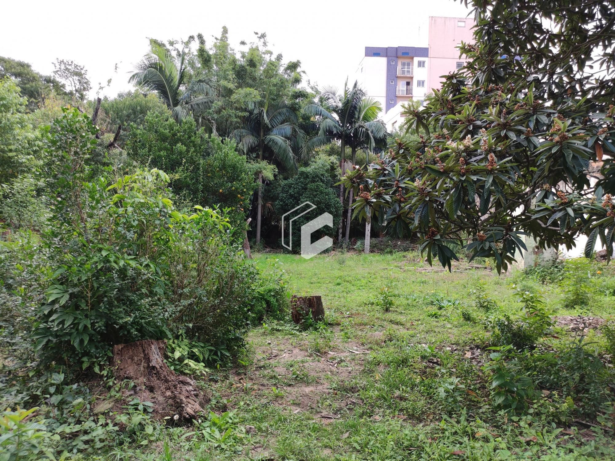 Terreno, 1334 m² - Foto 3