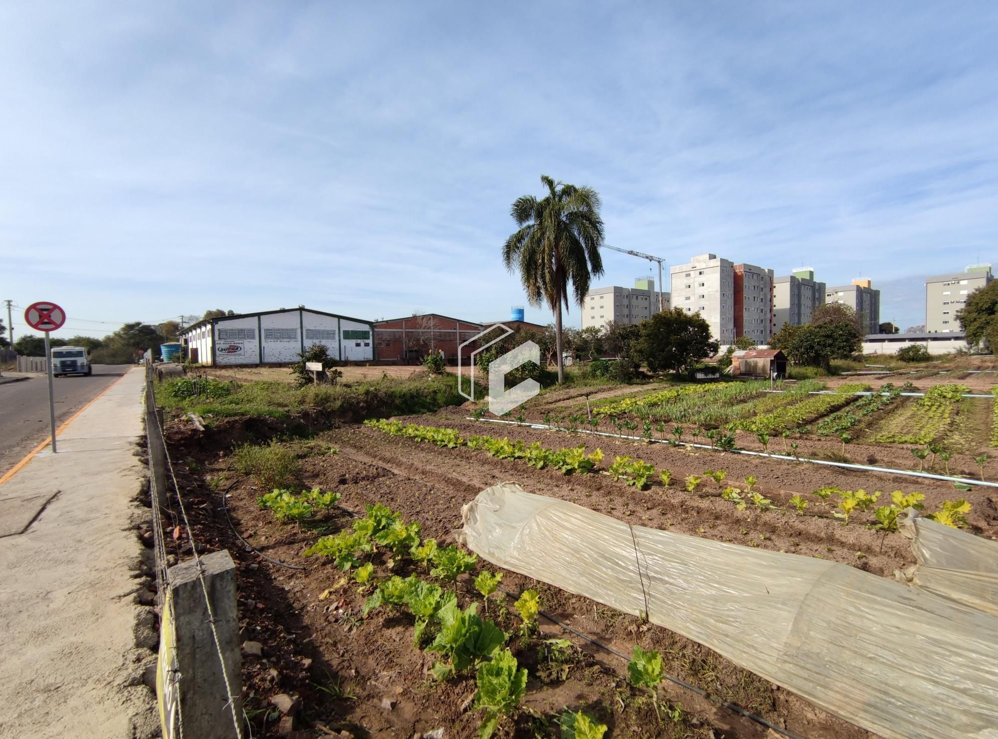 Terreno à venda, 10080m² - Foto 4