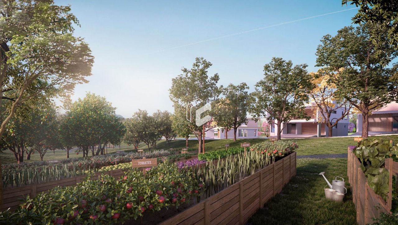 Terreno, 308 m² - Foto 14