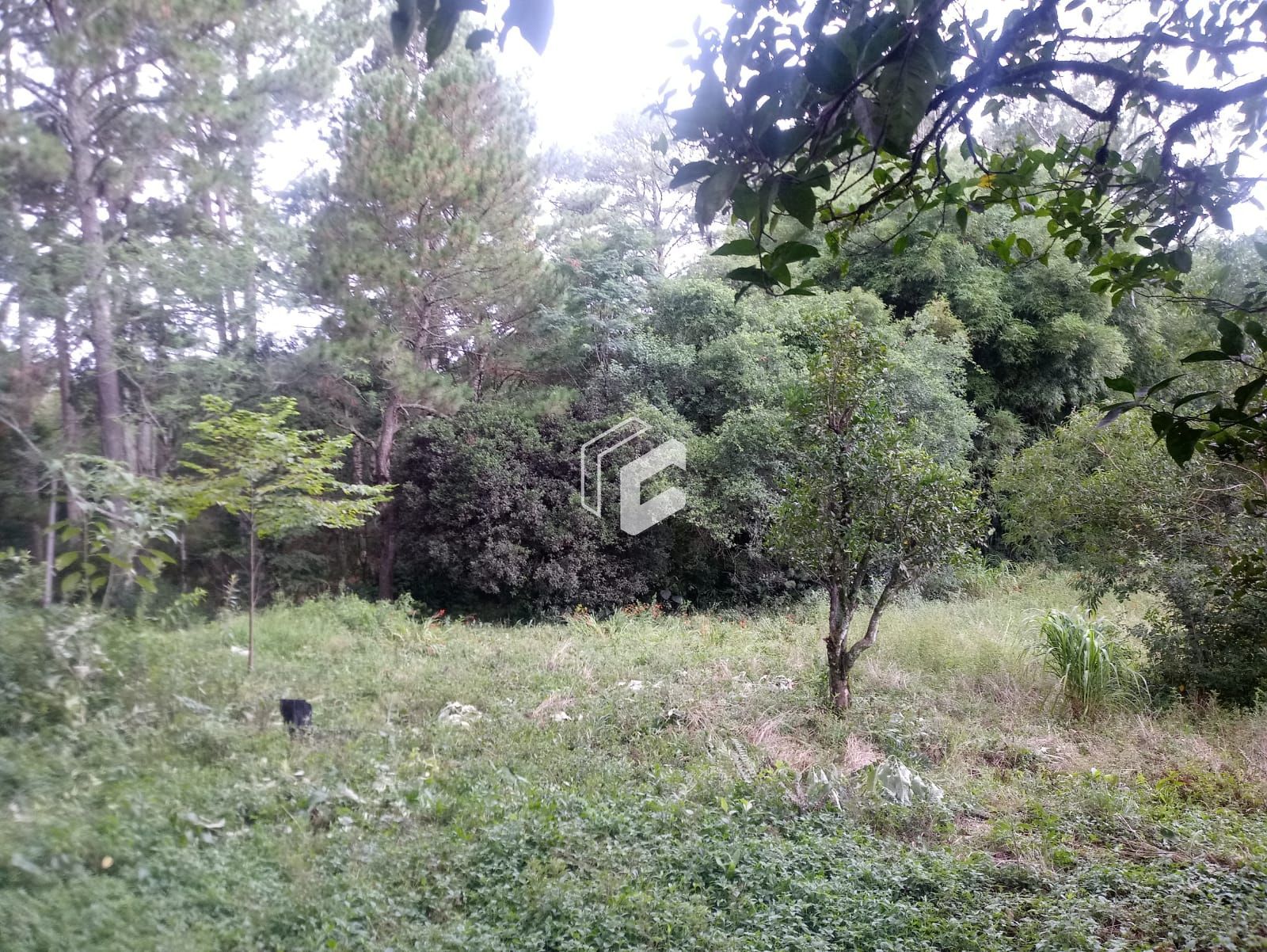 Chácara, 2 quartos, 10000 hectares - Foto 10