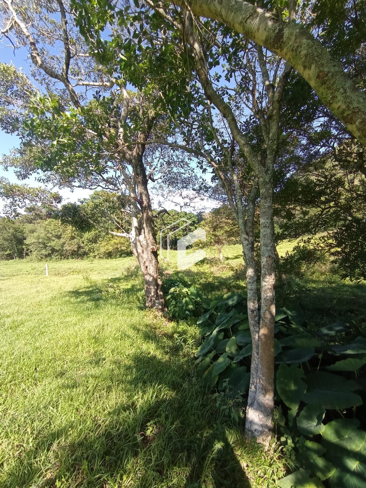 Loteamento e Condomínio, 3 hectares - Foto 3