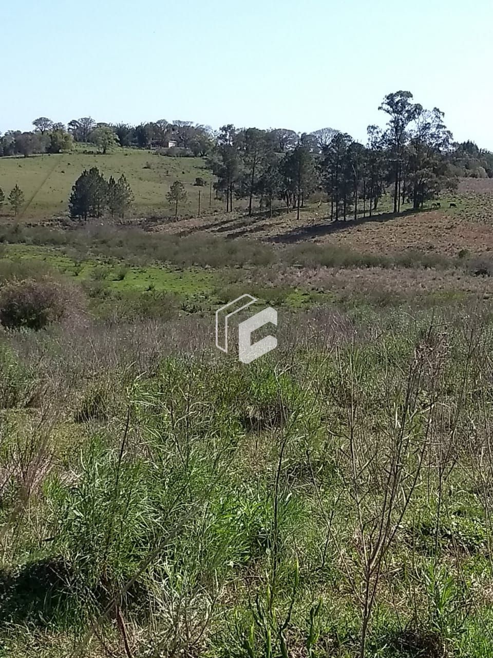 Terreno, 50000 hectares - Foto 10