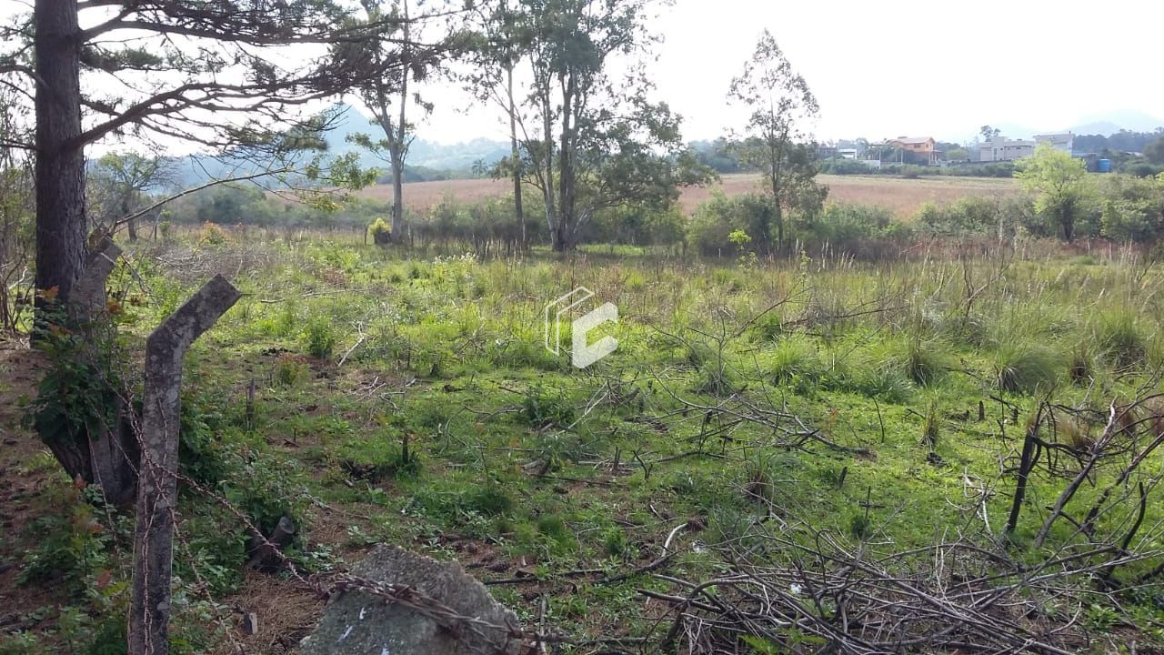 Terreno, 3500 m² - Foto 10