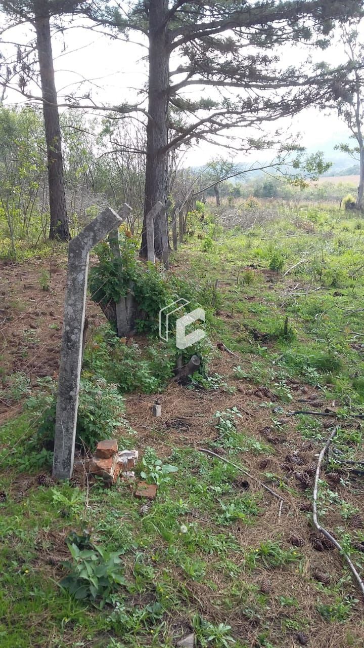 Terreno à venda, 3500m² - Foto 17