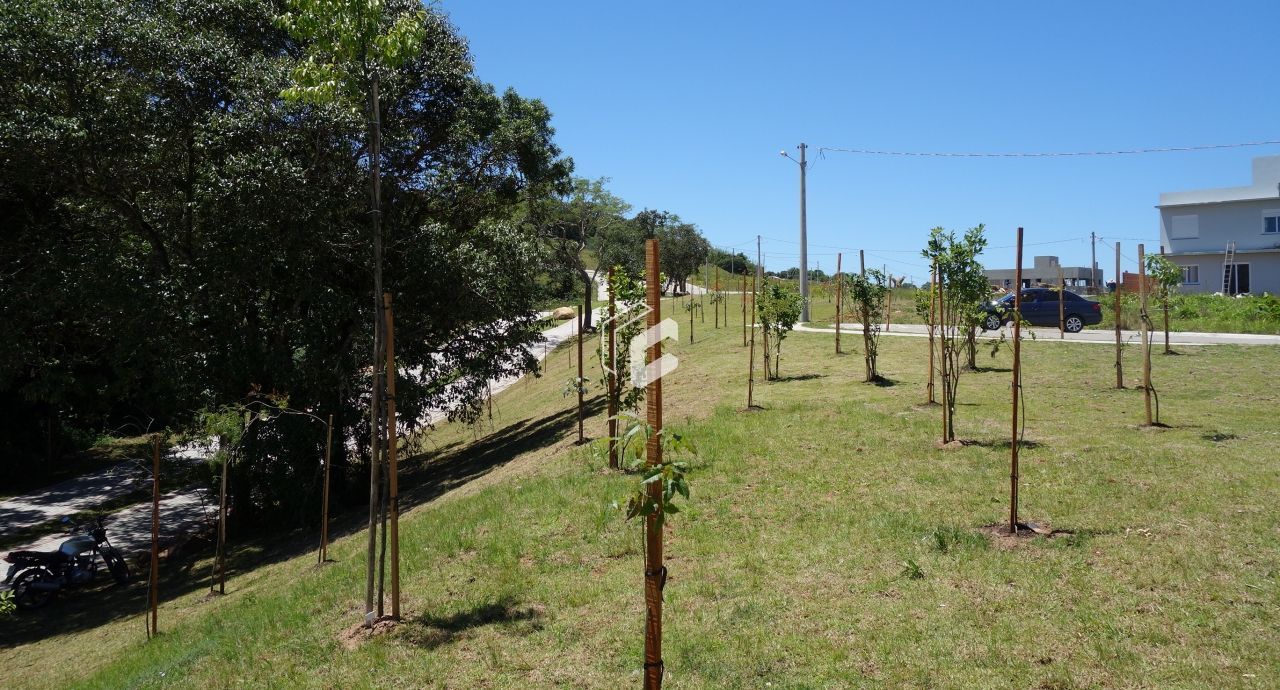 Terreno, 379 m² - Foto 4