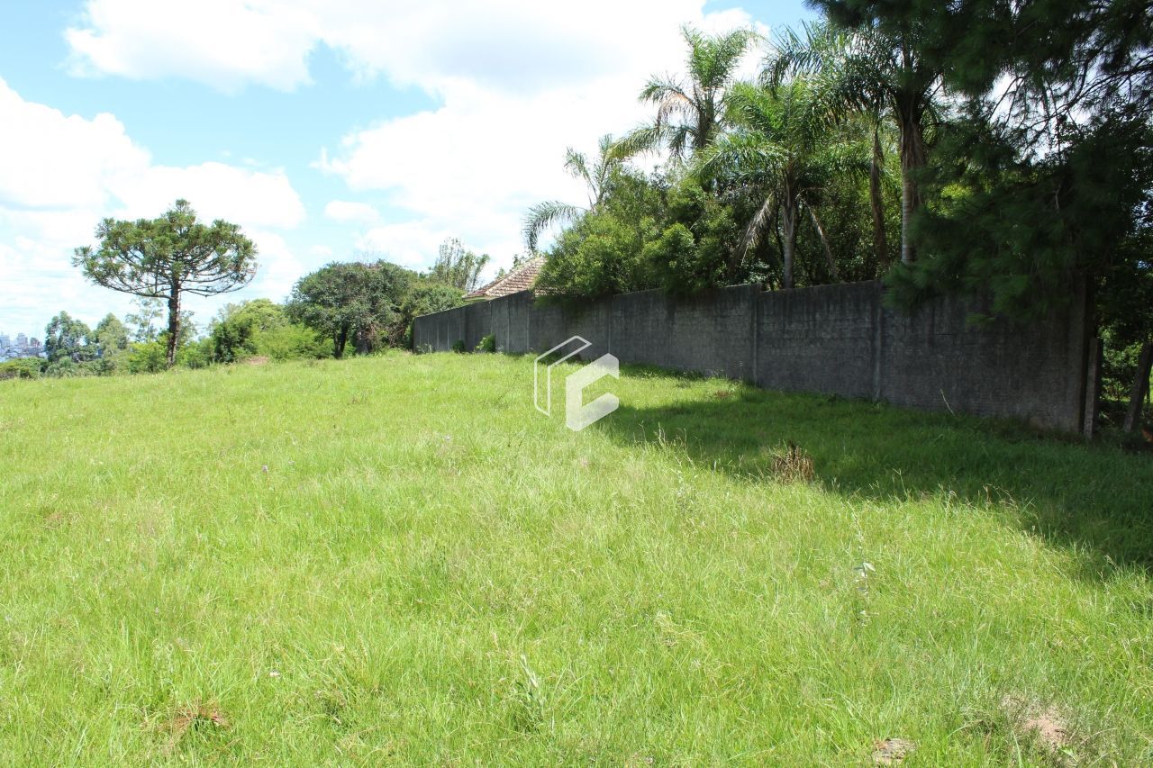 Terreno, 62246 hectares - Foto 11