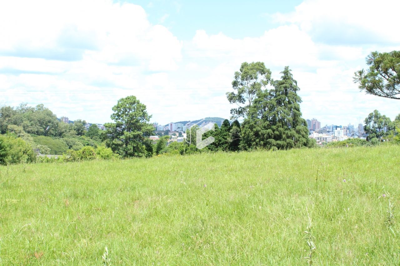 Terreno, 62246 hectares - Foto 13