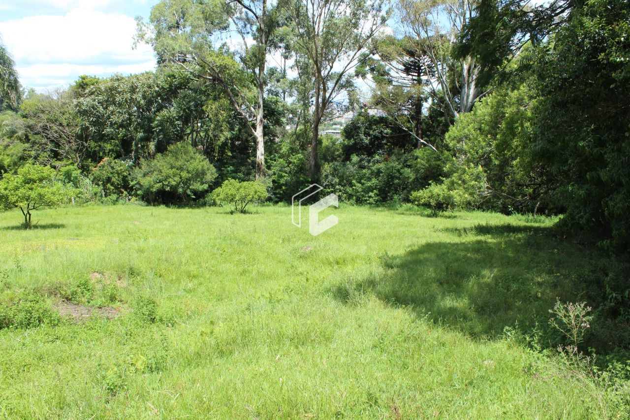 Terreno, 62246 hectares - Foto 4