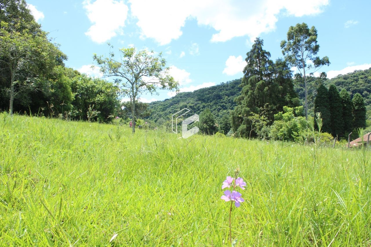 Fazenda à venda, 622463000m² - Foto 6