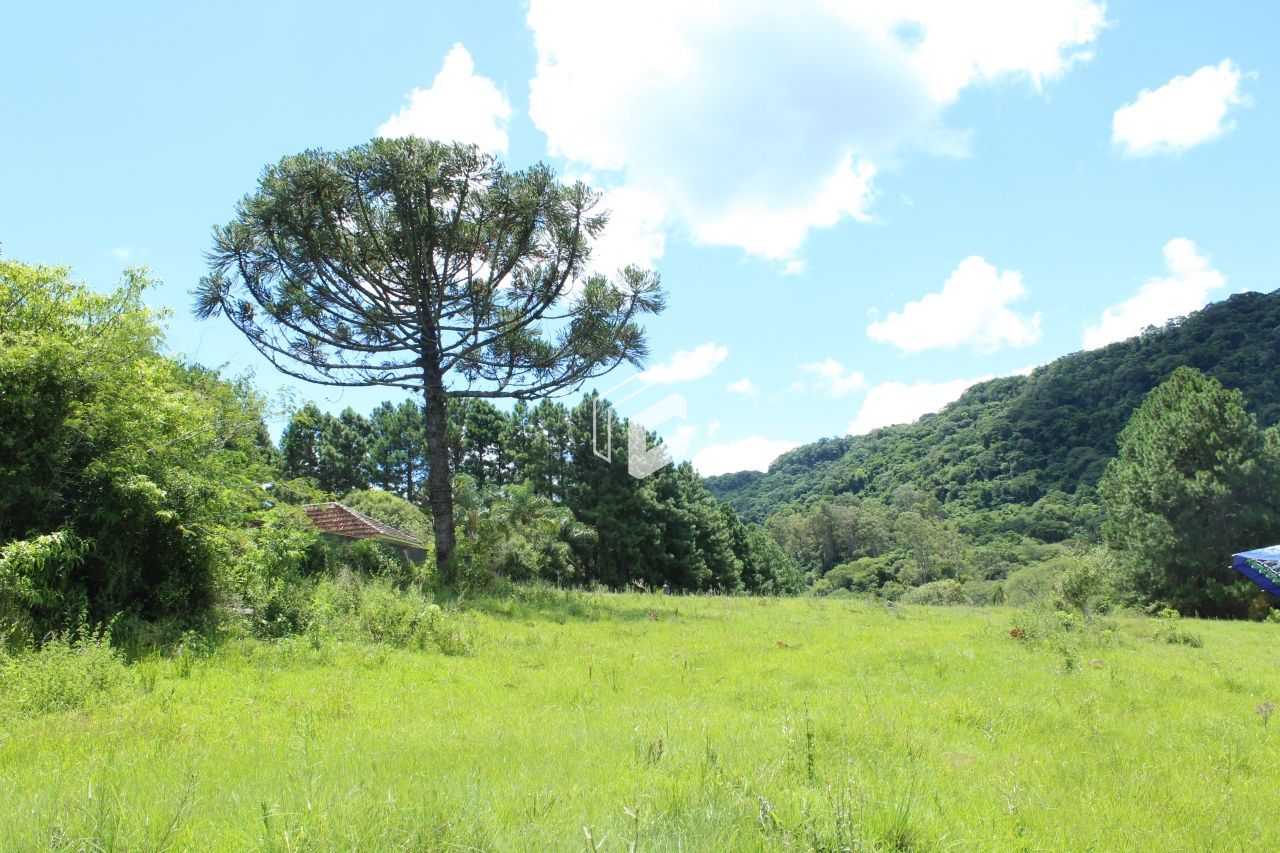 Fazenda à venda, 622463000m² - Foto 8