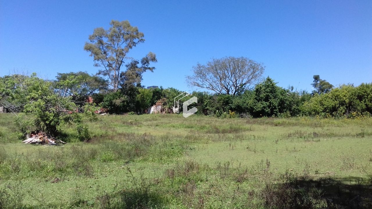 Terreno, 8165 m² - Foto 6