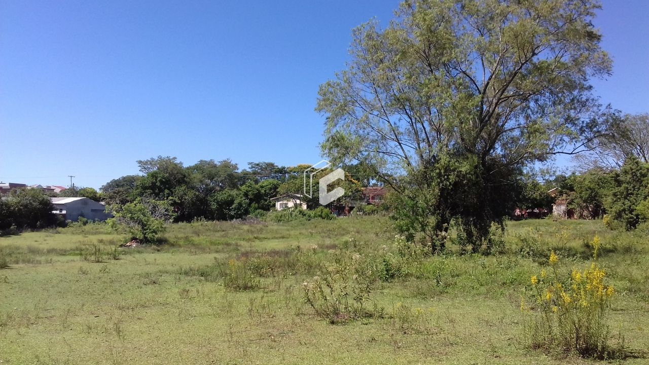 Terreno, 8165 m² - Foto 4