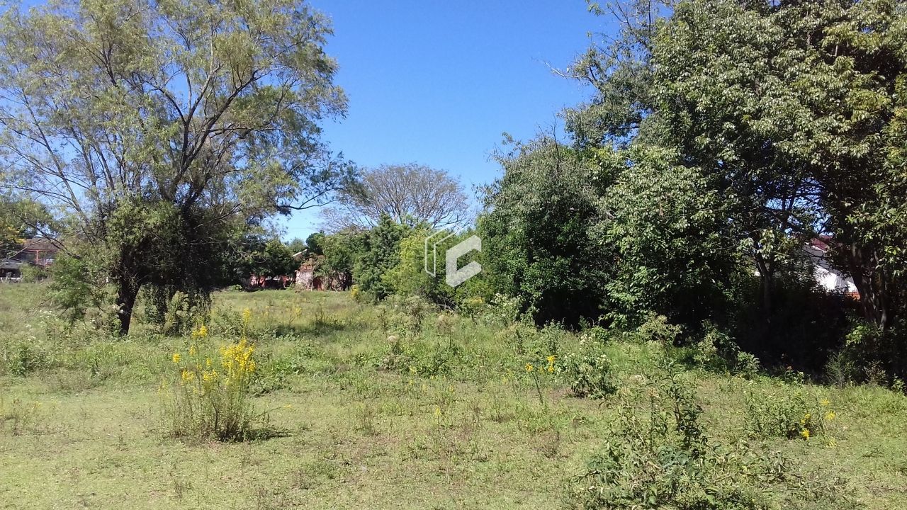 Terreno, 8165 m² - Foto 5