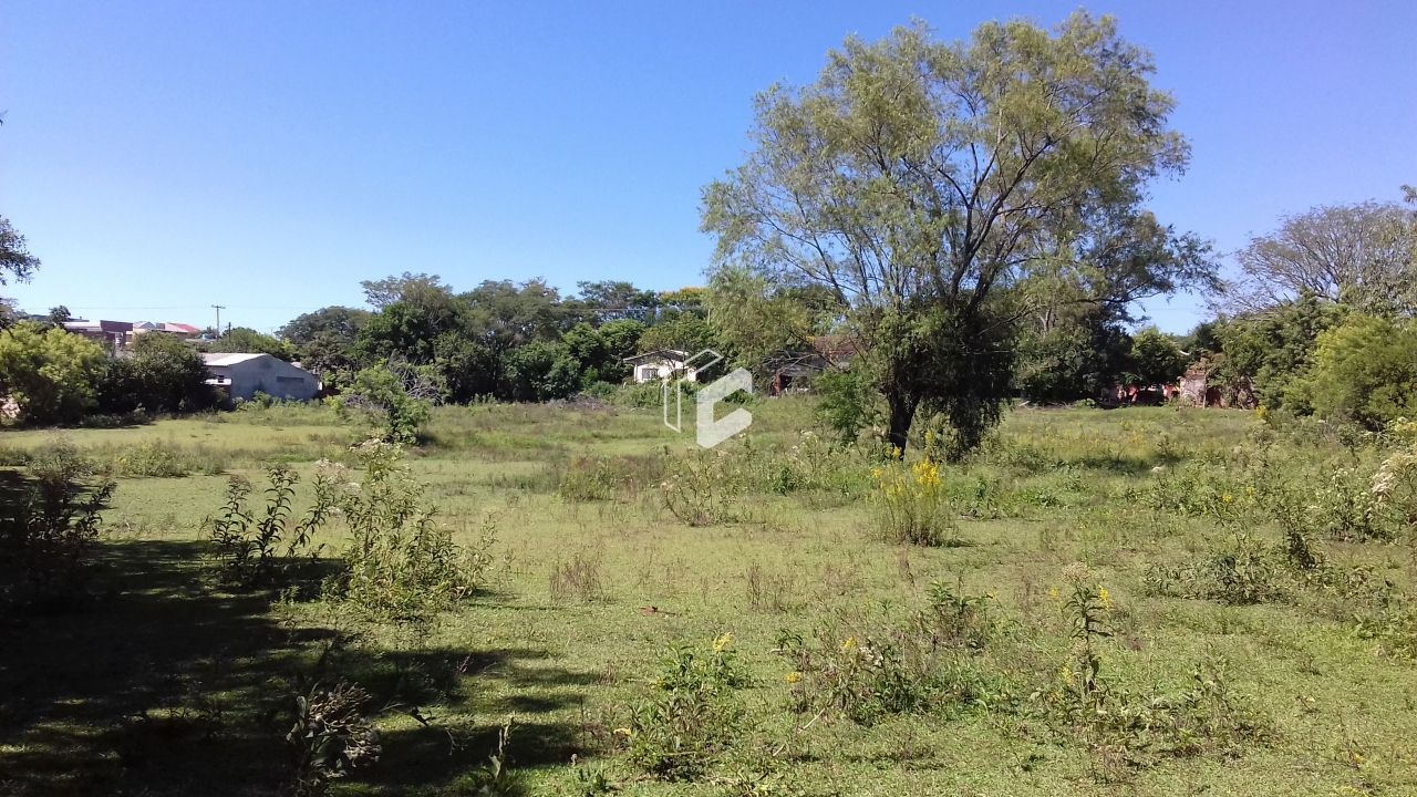 Terreno, 8165 m² - Foto 3