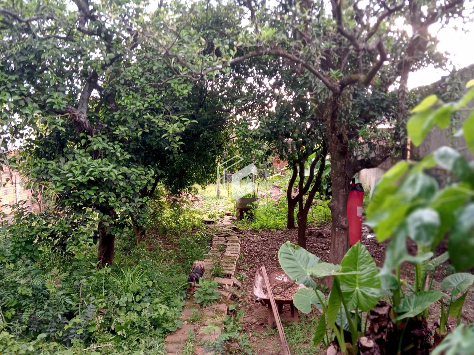 Sobrado, 5 quartos, 239 m² - Foto 22