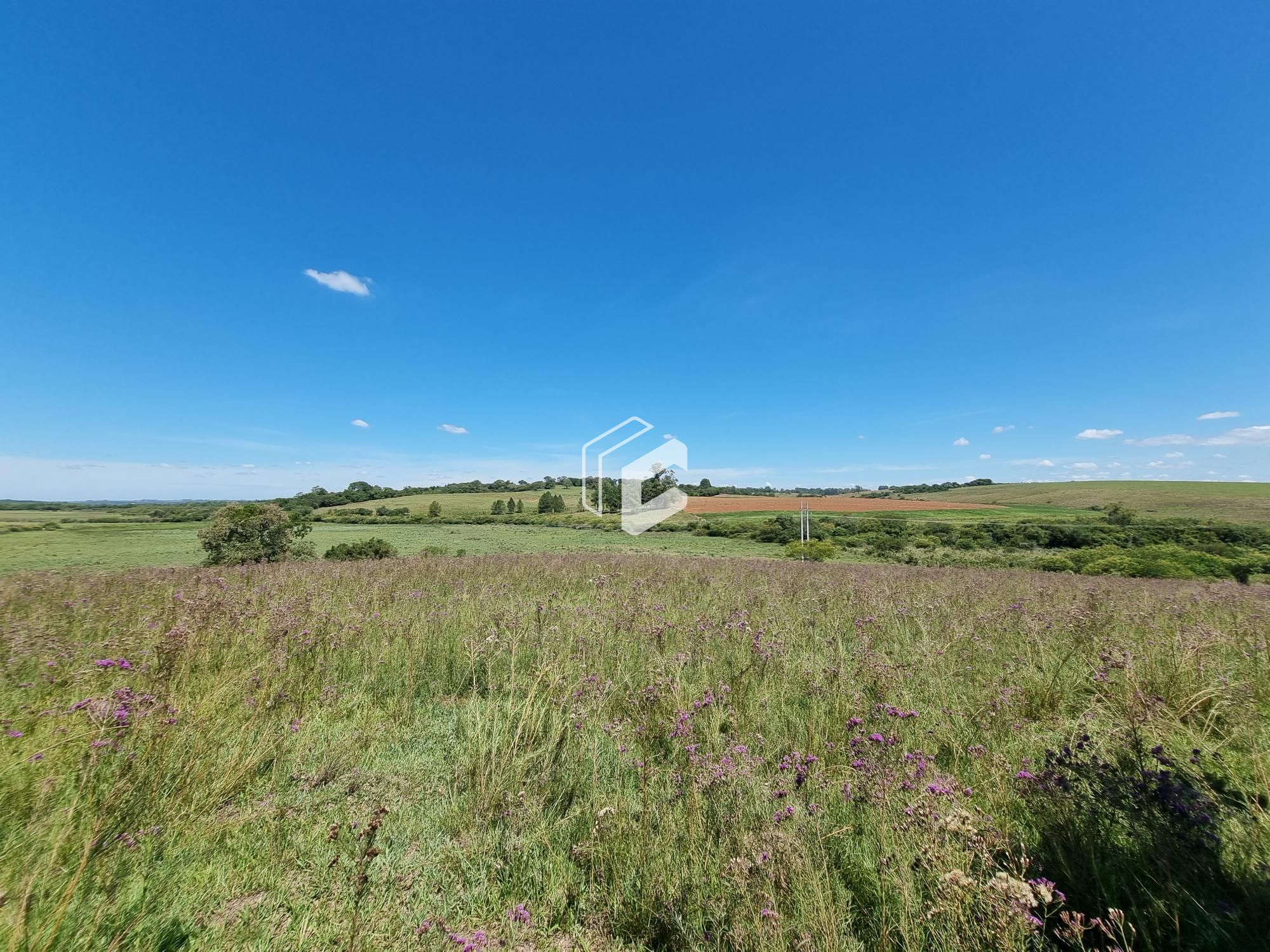 Terreno, 50000 hectares - Foto 3