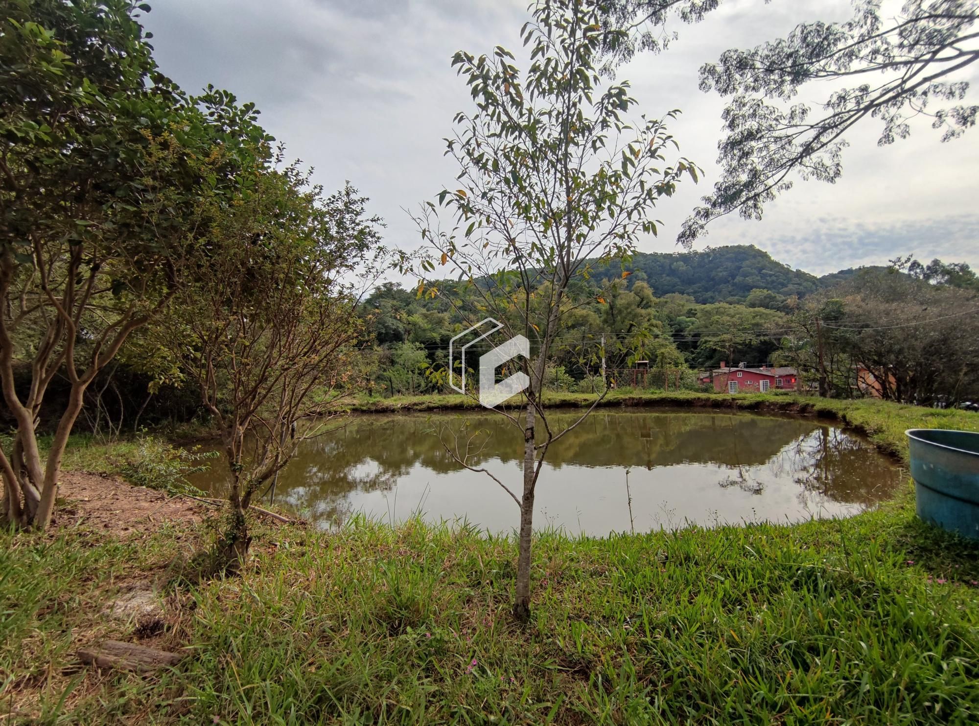 Fazenda à venda com 2 quartos, 112m² - Foto 6