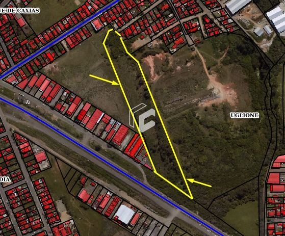 Terreno à venda, 20000m² - Foto 2