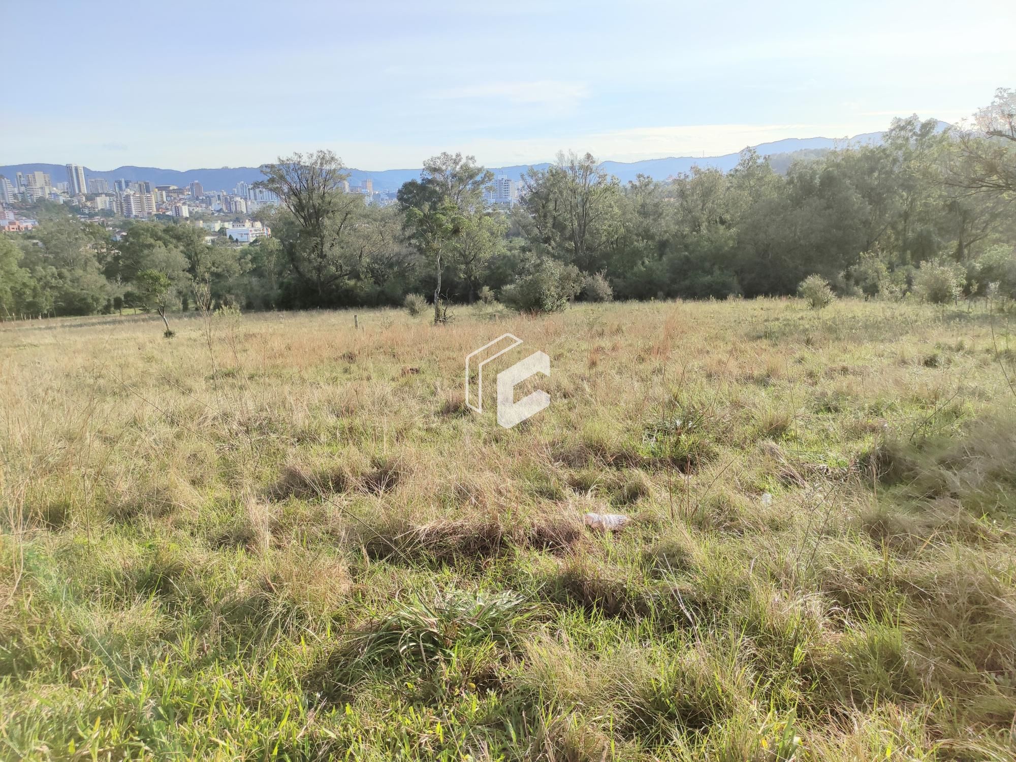 Terreno, 4199 m² - Foto 4