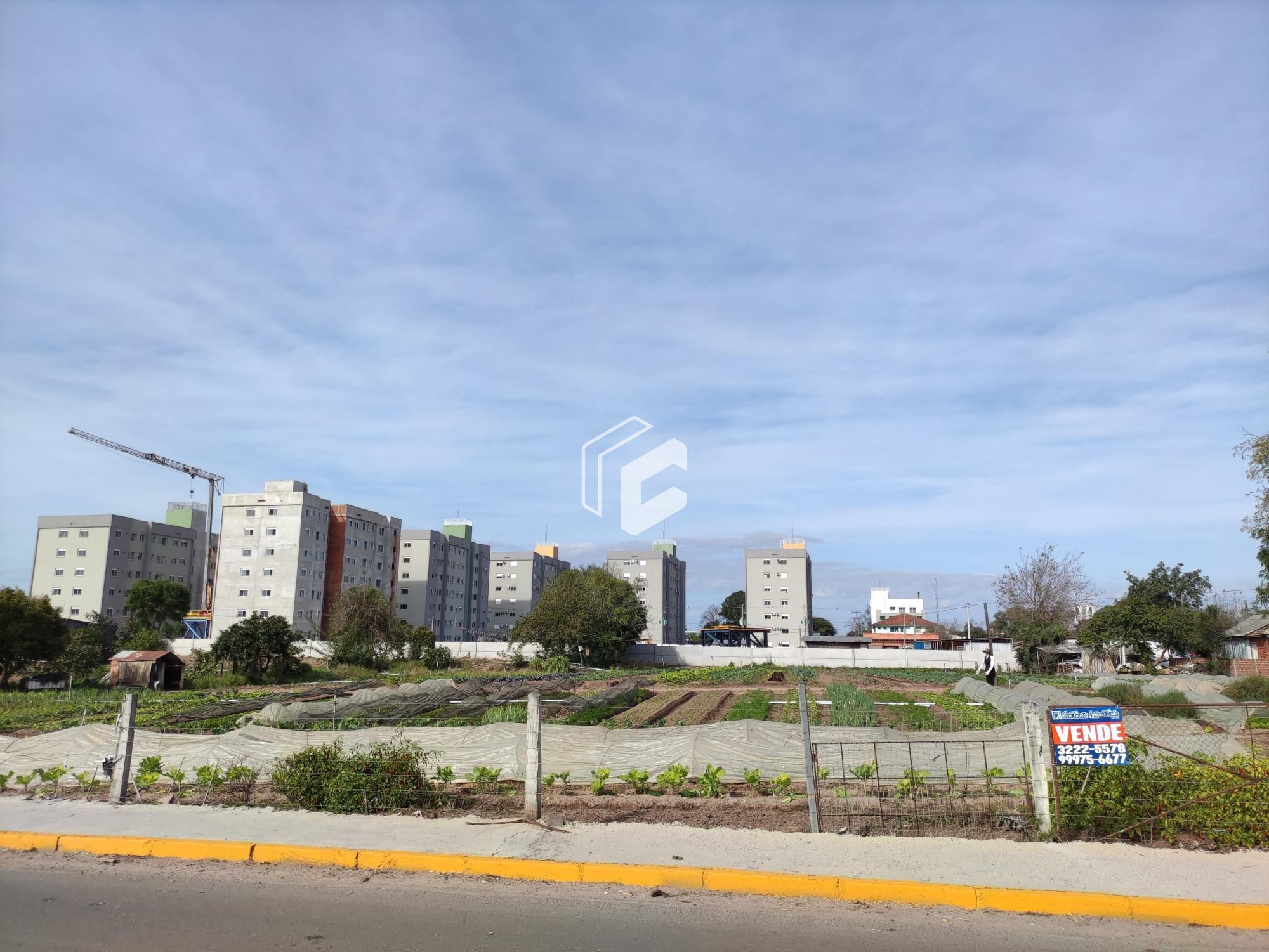 Terreno, 1 hectares - Foto 1