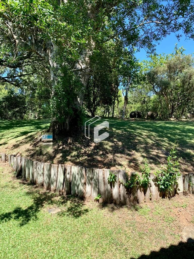 Fazenda à venda com 5 quartos, 350m² - Foto 34