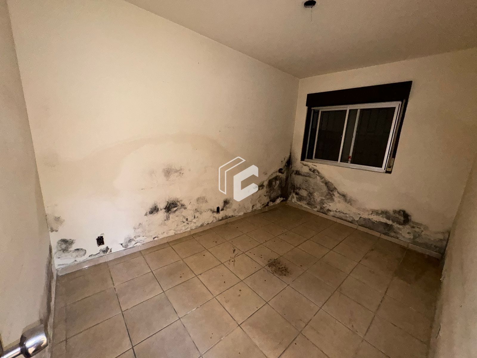 Casa, 3 quartos, 350 m² - Foto 7