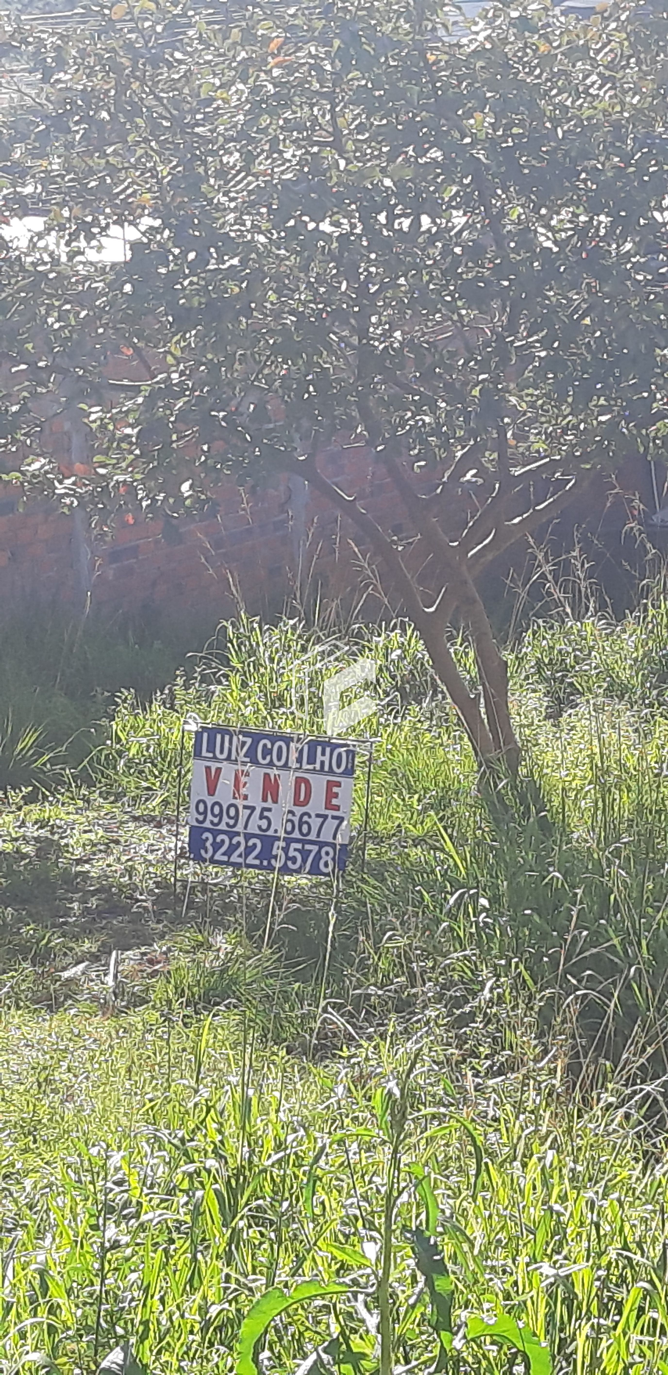 Terreno, 300 m² - Foto 1