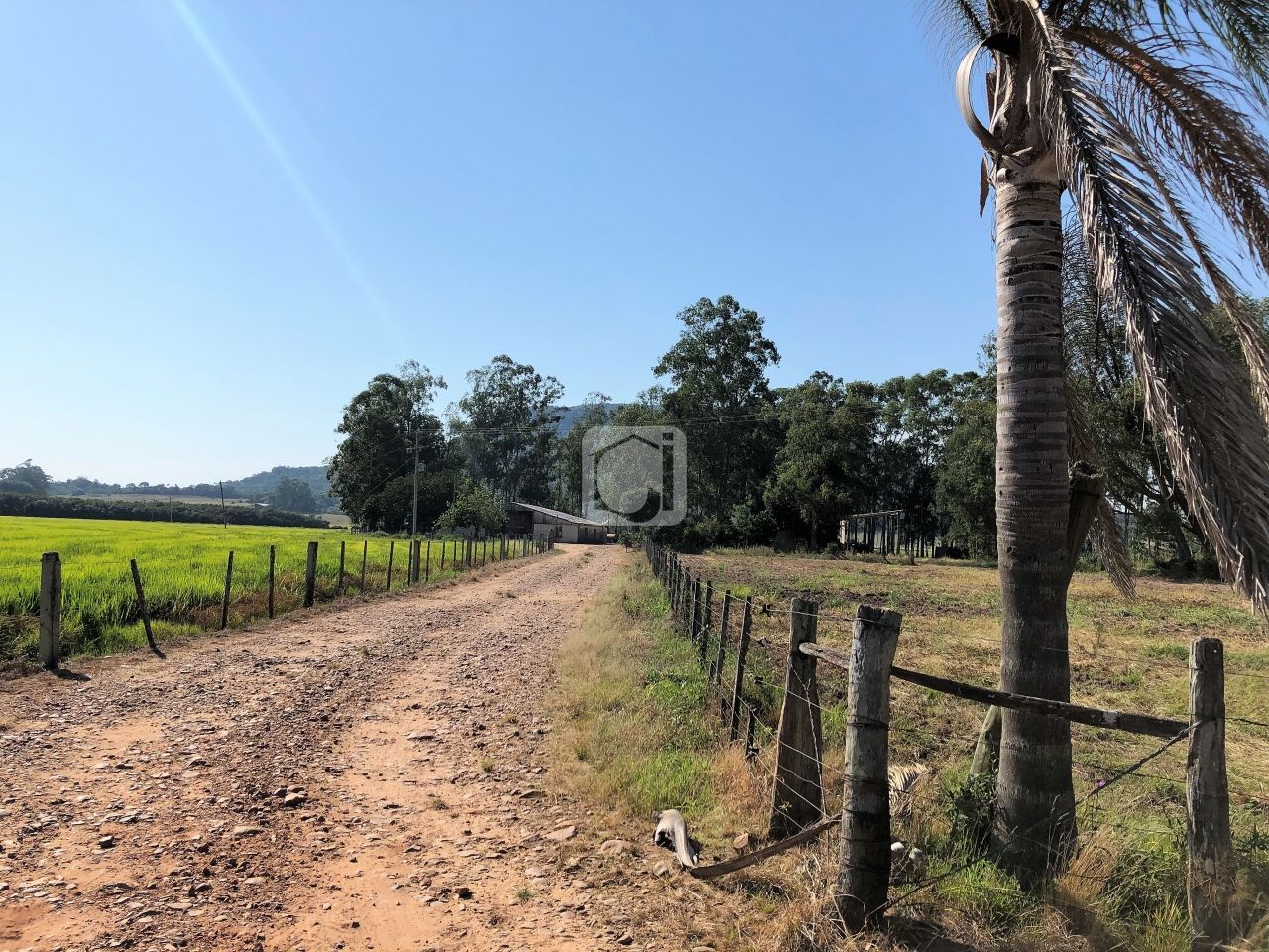 https://s01.jetimgs.com/trvAWQHuYcArjvEQTh3fetAUCuJnEakLEnRk55Zvvb_Yjn-2j0nIPPFR1jg9MPIJfyy2b9jy6ruK567nBwTdLpAPKELMhRhRkuHrVbs9DxVGUUhTeXUWknrSUOzqLw/IMG_1708.JPG.jpg+2120-08-03