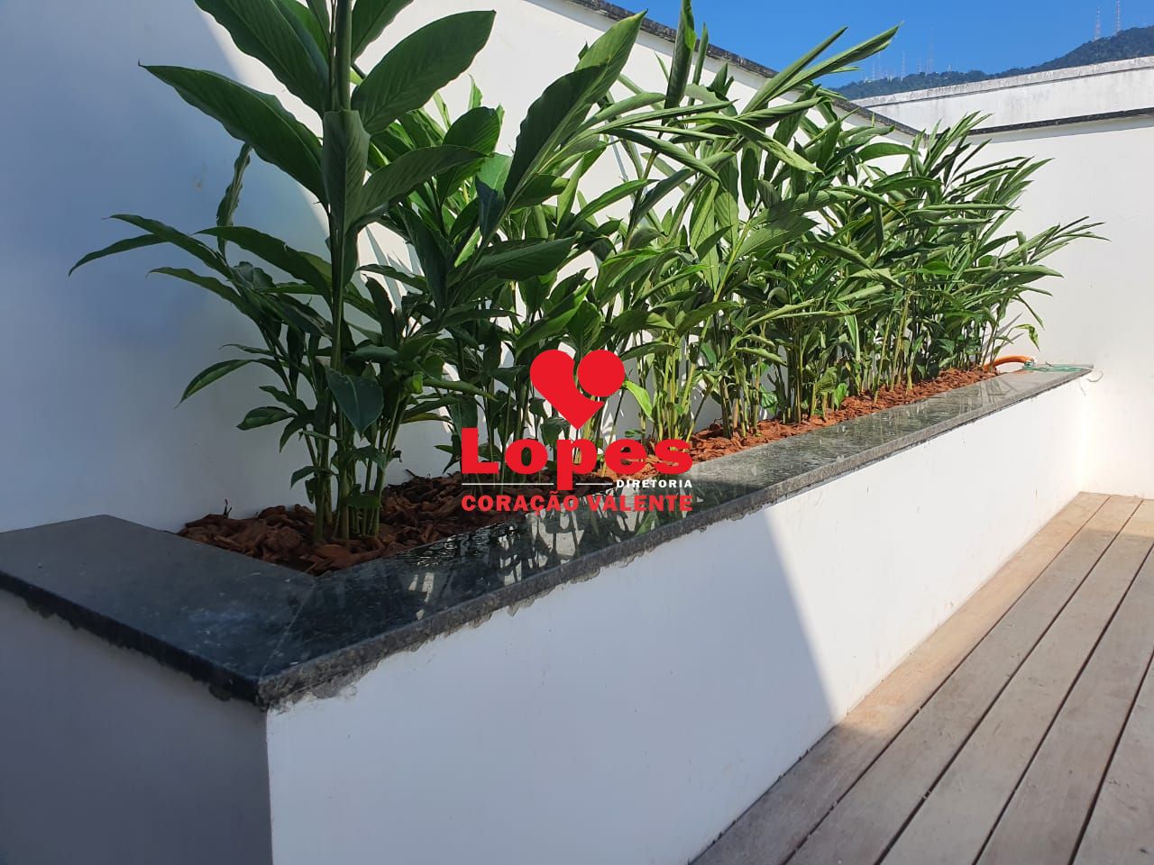 Apartamento, 3 quartos, 82 m² - Foto 14