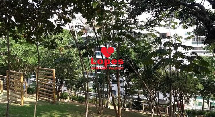 Apartamento, 3 quartos, 76 m² - Foto 17