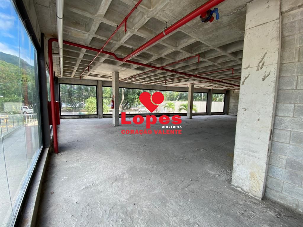 Sala-Conjunto, 318 m² - Foto 4
